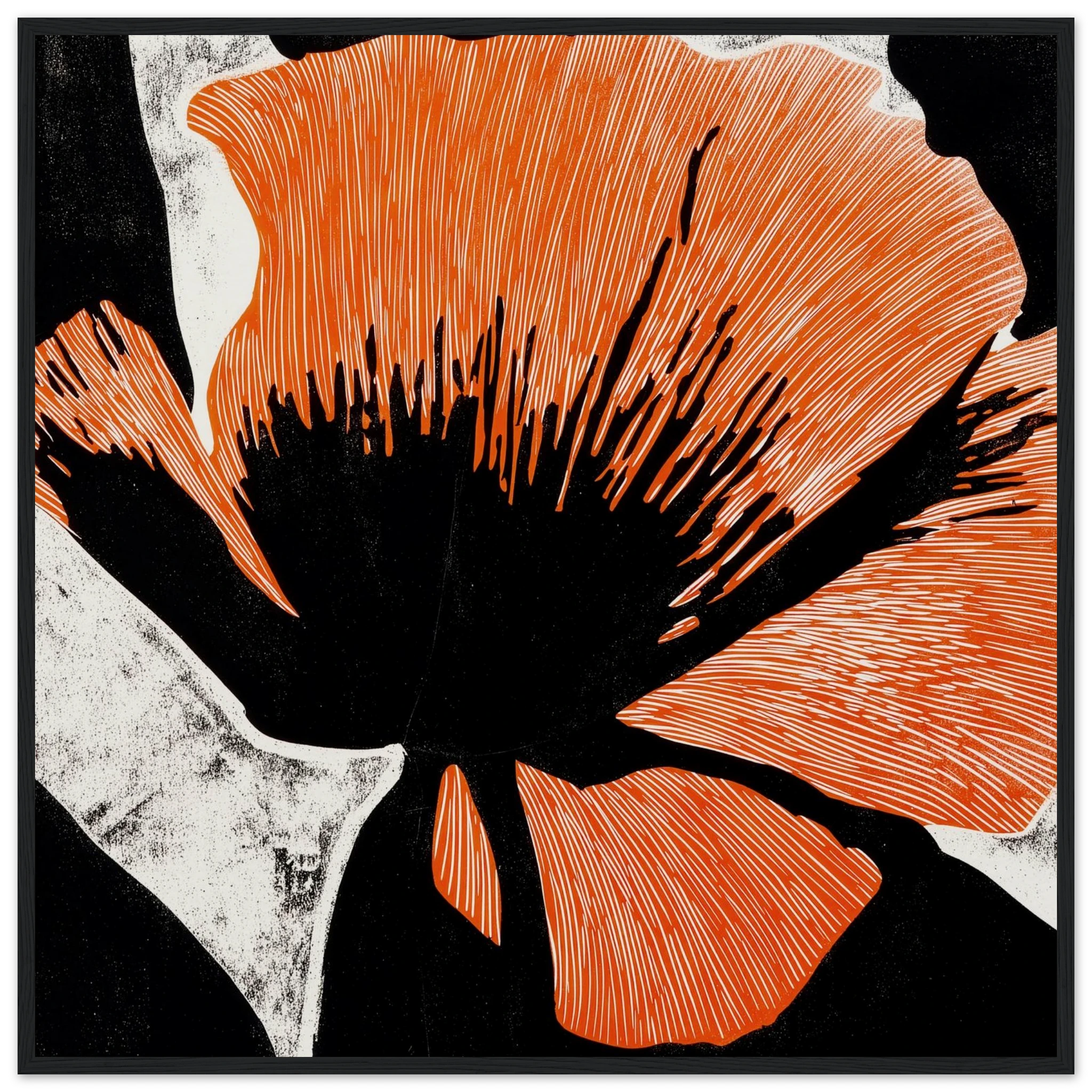 California Poppy No. 03 vivid coral orange botanical wall art, large scale poppy bloom with radiating line work on deep black ground